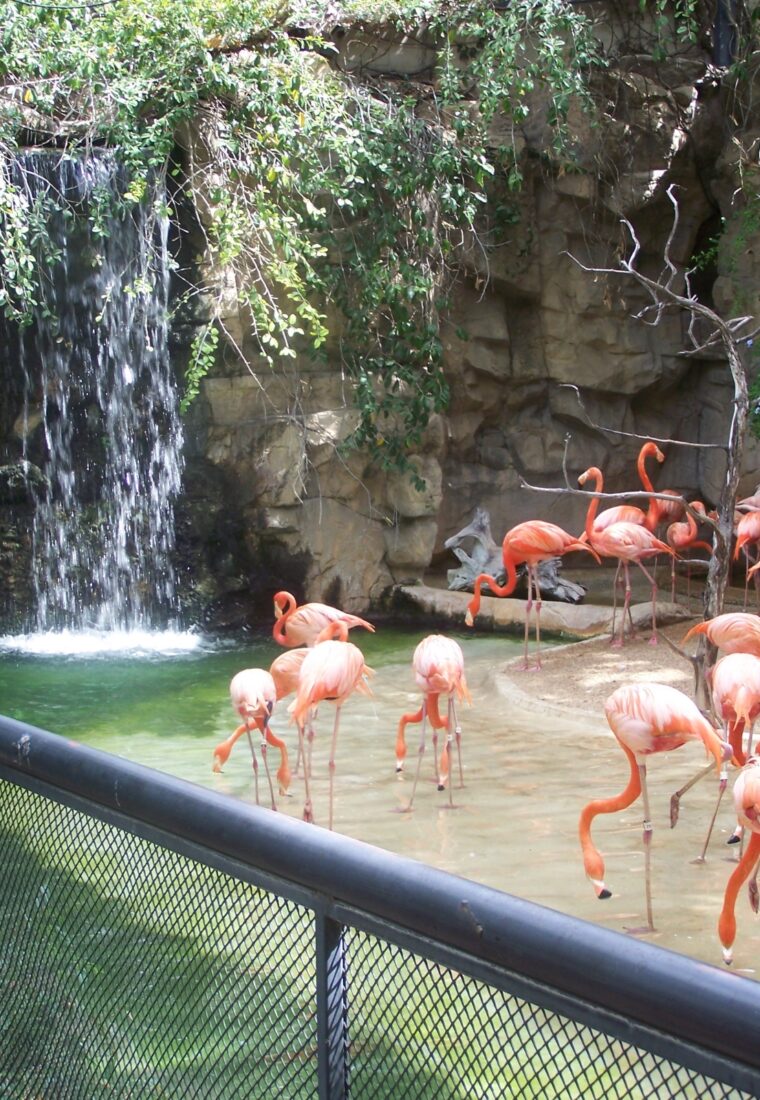 A Uniquely Natural Zoo Immersed in a Rock Quarry